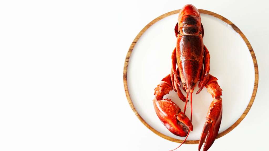 Ready-Made Meals in Melbourne